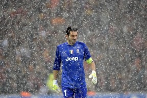 布伦德尔展望F1冠军之争：诺里斯被看好夺冠，布伦特vs诺丁汉