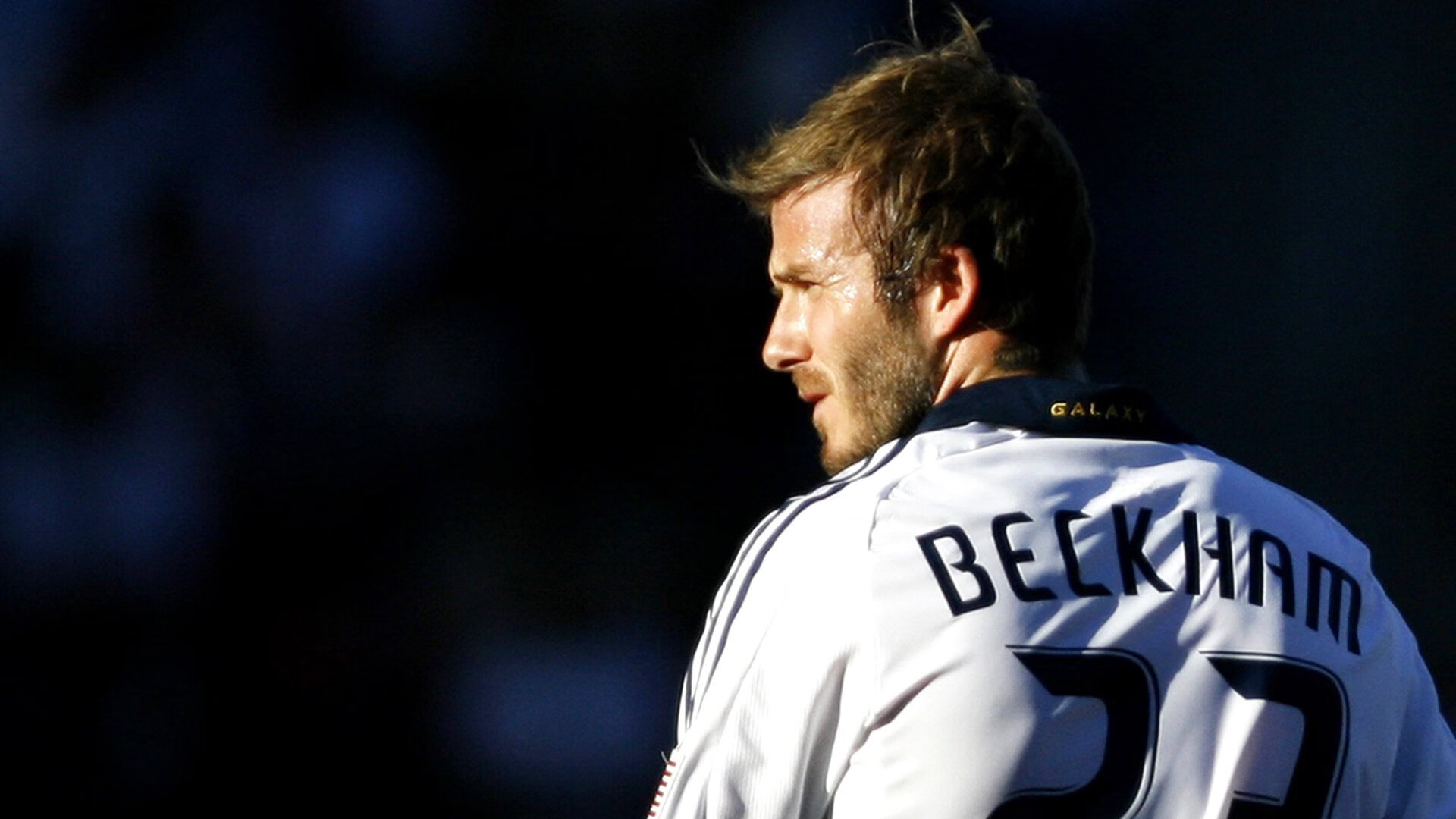 1451亿王传福，巴菲特“心”为何难留？